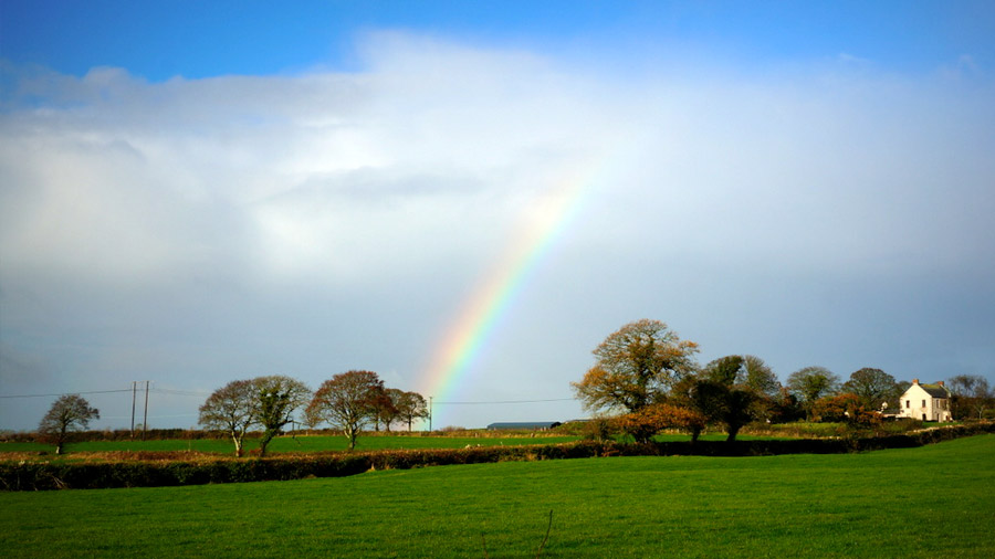Au cours d'un voyage en Irlande, un paysage rural avec un arc-en-ciel