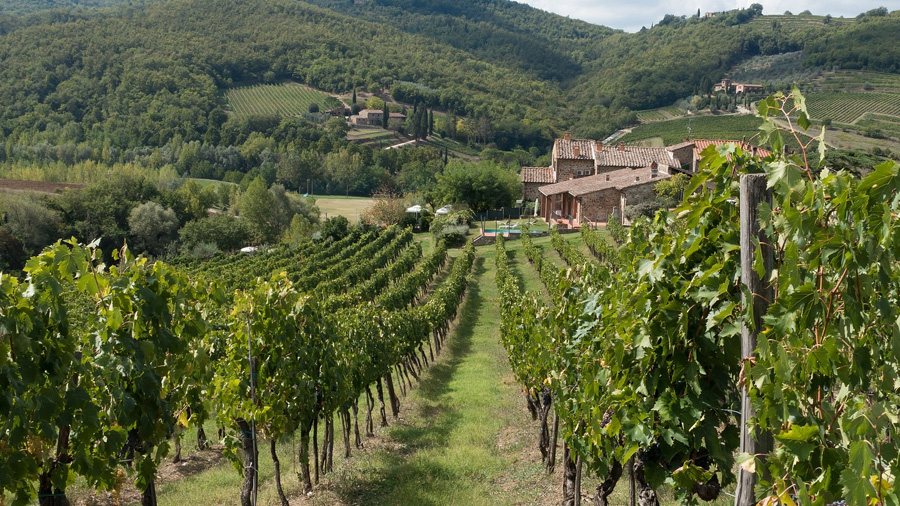 visite d'un vignoble de Chianti lors de vacance à moto en toscane